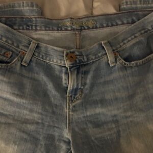 American Eagle Outfitters Light Blue Flare Jeans